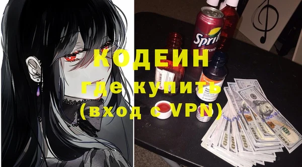 хмурый Бородино