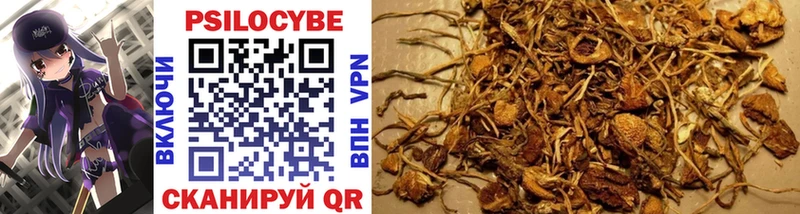 как найти наркотики Демидов Галлюциногенные грибы GOLDEN TEACHER